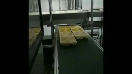 ポリスチレンポリプロピレン蓋卵トレイ食品容器製造機械装置
